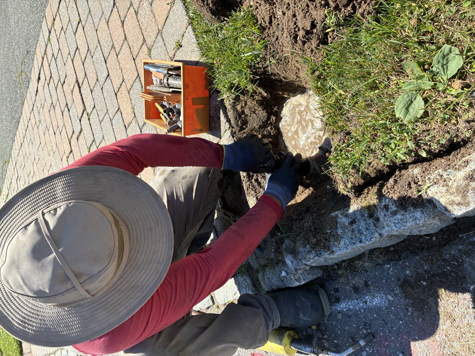 Irrigation system watering a garden bed