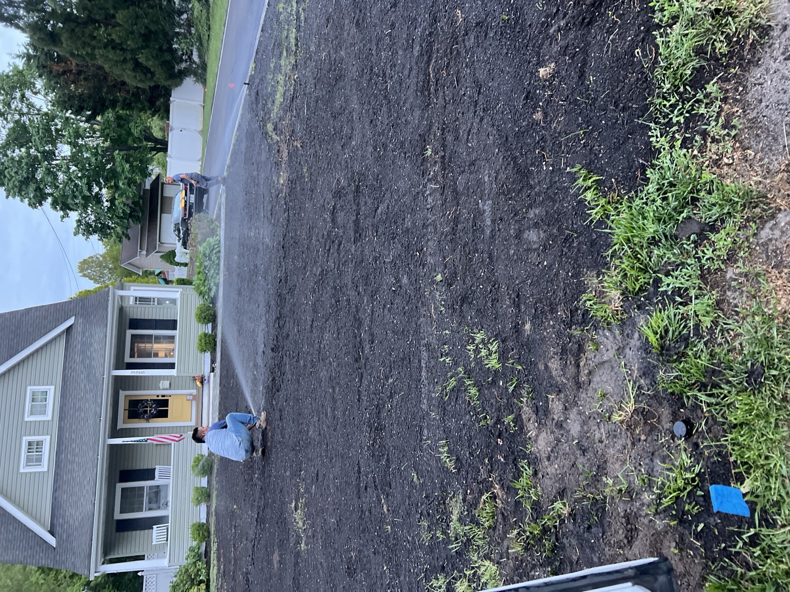 Healthy renovated green lawn